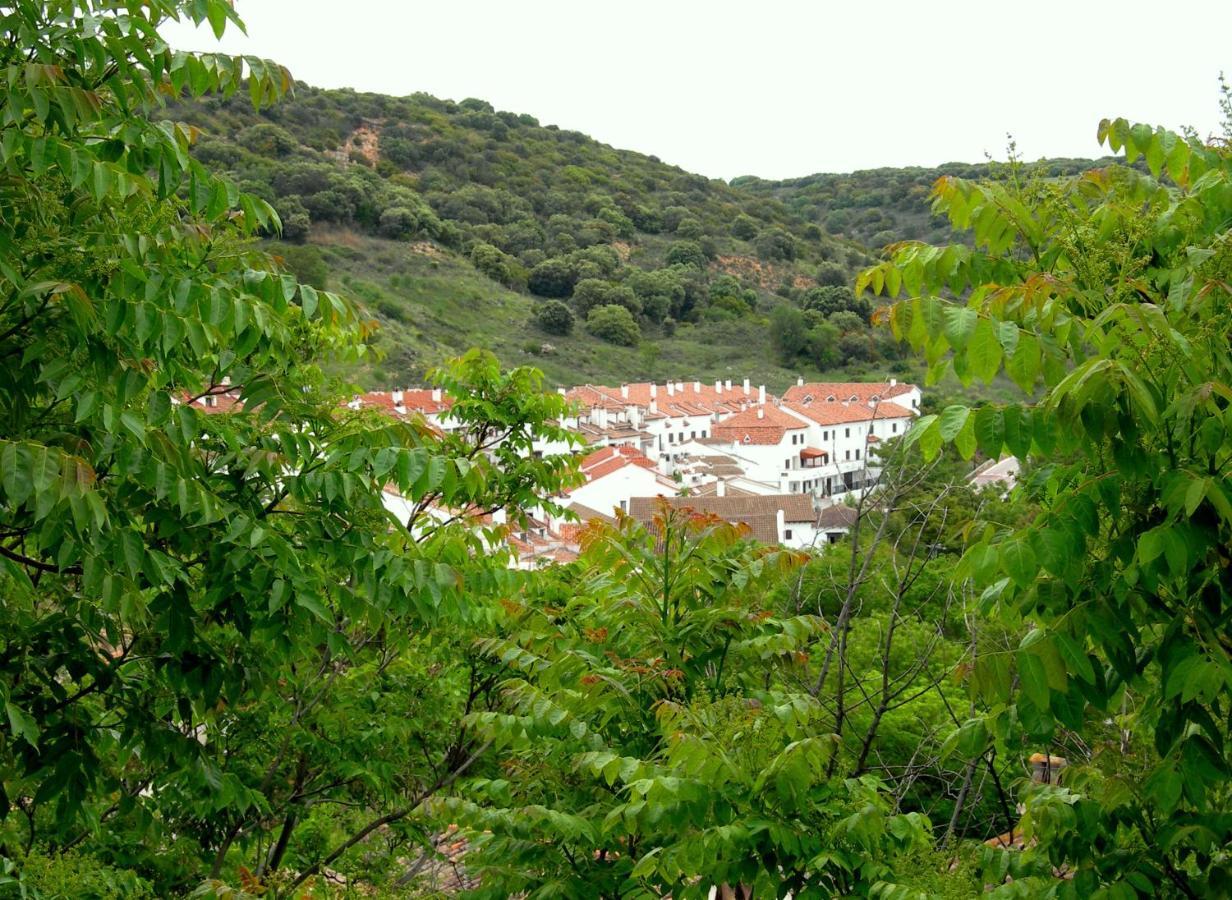 Casa Del Medico *